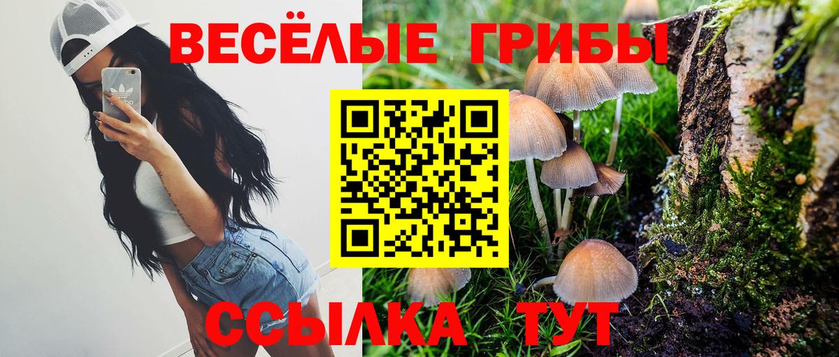 Галлюциногенные грибы мухоморы  Вход с VPN  где купить   Невинномысск 