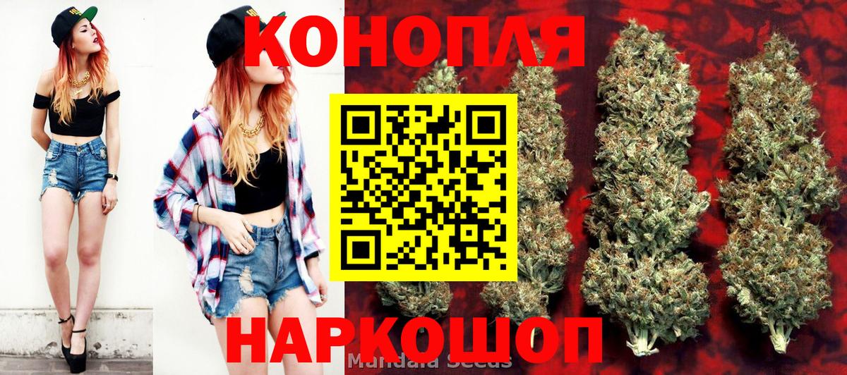 Бошки марихуана MAZAR Невинномысск